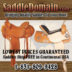 SaddleDomain.com