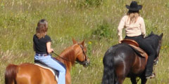 Trail Ride through the meadow