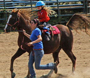 Gracie on Joe